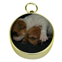 Adorable Baby Puppies Gold Compasses by trendistuff