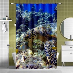 Sea Turtle Shower Curtain 48  X 72  (small)  by trendistuff