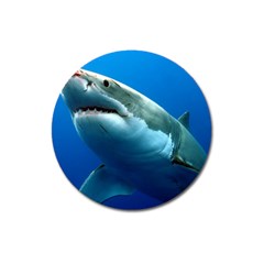 Great White Shark 3 Magnet 3  (round) by trendistuff