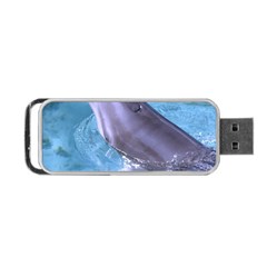 Dolphin 2 Portable Usb Flash (one Side)