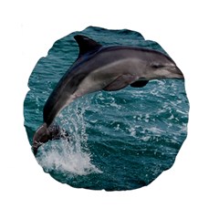 Dolphin Standard 15  Premium Round Cushions by trendistuff