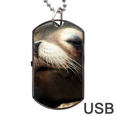 Cute Sea Lion Dog Tag Usb Flash (two Sides) 