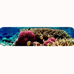 Coral Reefs 1 Large Bar Mats