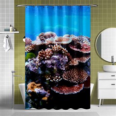 Coral Outcrop 2 Shower Curtain 48  X 72  (small)  by trendistuff