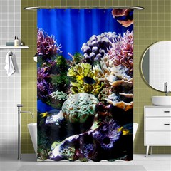 Coral Outcrop 1 Shower Curtain 48  X 72  (small)  by trendistuff