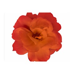 Red Rose Photo Double Sided Flano Blanket (mini) 