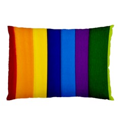 Rainbow Painting On Wood Pillow Case (two Sides) by StuffOrSomething