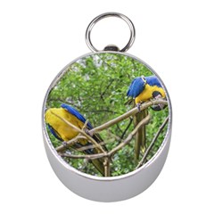 South American Couple Of Parrots Mini Silver Compasses