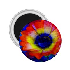 Tie Dye Flower 2 25  Magnets by MichaelMoriartyPhotography