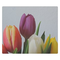 Tulips Double Sided Flano Blanket (small) 