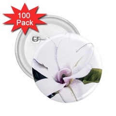 White Magnolia Pencil Drawing Art 2 25  Buttons (100 Pack) 