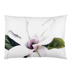 White Magnolia Pencil Drawing Art Pillow Case (two Sides) by picsaspassion