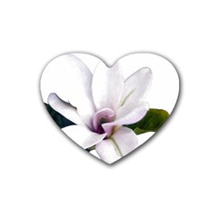 Magnolia Wit Aquarel Painting Art Rubber Coaster (heart)  by picsaspassion