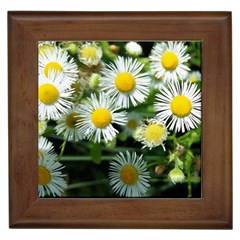 White Summer Flowers Oil Painting Art Framed Tiles