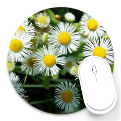 White Summer Flowers Oil Painting Art Round Mousepads