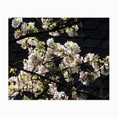 Japanese Cherry Blossom Small Glasses Cloth (2-side)