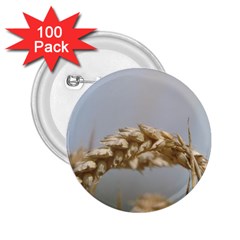 Cornfield 2 25  Buttons (100 Pack) 