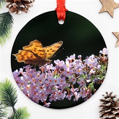 Butterfly Sitting On Flowers Round Ornament (two Sides) 