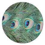 Peacock Feathers Macro Magnet 5  (Round) Front