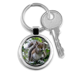 Gray Squirrel Eating Sycamore Seed Key Chains (round) 