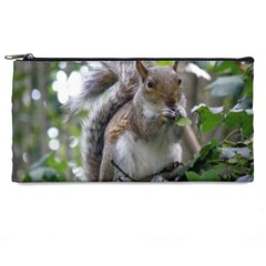 Gray Squirrel Eating Sycamore Seed Pencil Cases by GiftsbyNature