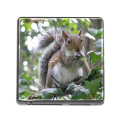 Gray Squirrel Eating Sycamore Seed Memory Card Reader (square) by GiftsbyNature