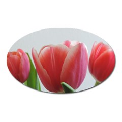 Red Tulips Oval Magnet by picsaspassion