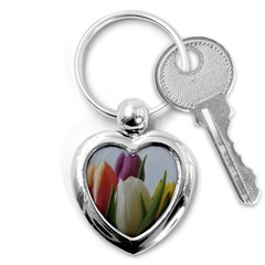 Colored By Tulips Key Chains (heart)  by picsaspassion