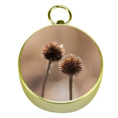 Withered Globe Thistle In Autumn Macro Gold Compasses by wsfcow