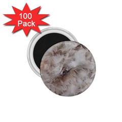 Down Comforter Feathers Goose Duck Feather Photography 1 75  Magnets (100 Pack)  by yoursparklingshop