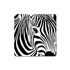 Animal Cute Pattern Art Zebra Square Magnet