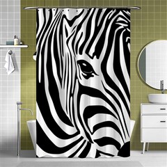 Animal Cute Pattern Art Zebra Shower Curtain 48  X 72  (small)  by Amaryn4rt