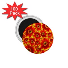 Gerbera Flowers Blossom Bloom 1 75  Magnets (100 Pack)  by Amaryn4rt