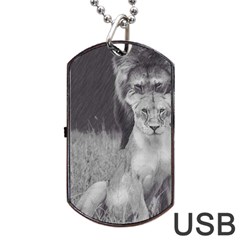 King And Queen Of The Jungle Design  Dog Tag Usb Flash (one Side)