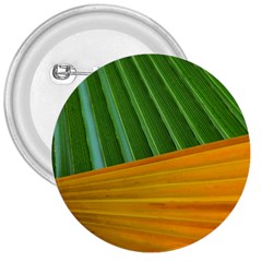 Pattern Colorful Palm Leaves 3  Buttons