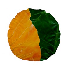 Wet Yellow And Green Leaves Abstract Pattern Standard 15  Premium Flano Round Cushions