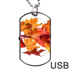 Autumn Leaves Leaf Transparent Dog Tag Usb Flash (one Side) by Amaryn4rt