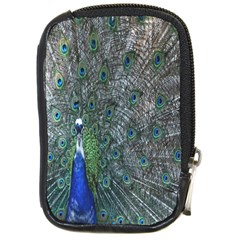 Peacock Four Spot Feather Bird Compact Camera Cases by Nexatart
