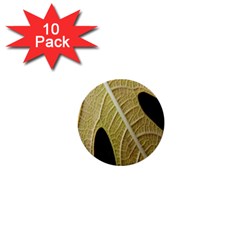 Yellow Leaf Fig Tree Texture 1  Mini Buttons (10 Pack)  by Nexatart