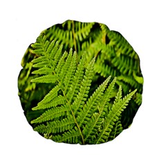 Fern Nature Green Plant Standard 15  Premium Flano Round Cushions by Nexatart