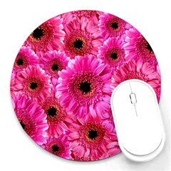 Gerbera Flower Nature Pink Blosso Round Mousepads by Nexatart