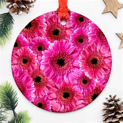 Gerbera Flower Nature Pink Blosso Ornament (round) by Nexatart