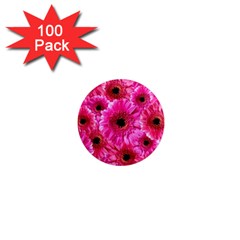 Gerbera Flower Nature Pink Blosso 1  Mini Magnets (100 Pack)  by Nexatart