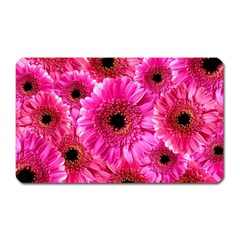 Gerbera Flower Nature Pink Blosso Magnet (rectangular) by Nexatart