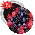 Forest Fruit 3  Magnets (10 pack)  Front