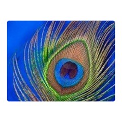 Blue Peacock Feather Double Sided Flano Blanket (mini)  by Amaryn4rt