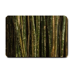 Green And Brown Bamboo Trees Small Doormat 