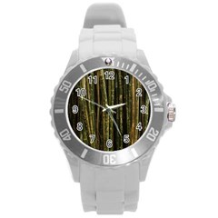 Green And Brown Bamboo Trees Round Plastic Sport Watch (l)