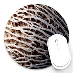 Seed Worn Lines Close Macro Round Mousepads Front