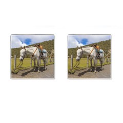 White Horse Tied Up At Cotopaxi National Park Ecuador Cufflinks (square) by dflcprints